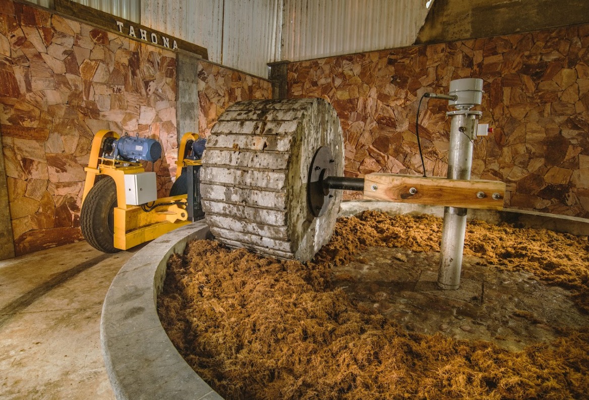Molino de piedra tradicional - Tahona wheel extraction